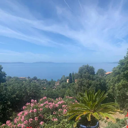 Tres Joli Studio Apartment Rayol-Canadel-sur-Mer